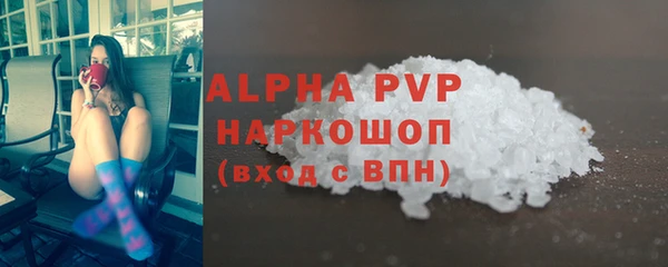 гашик Богданович